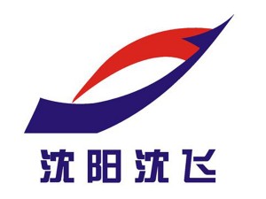 沈飞